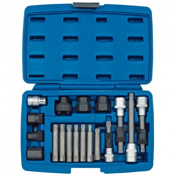 Alternator Pulley Tool Kit (18 Piece)