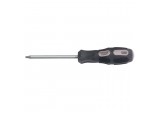Draper TX-STAR® Driver, T25 x 100mm Long