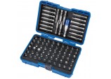 Screwdriver and Bit Holder Set (80 Piece)